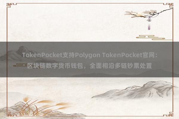 TokenPocket支持Polygon TokenPocket官网：区块链数字货币钱包，全面相沿多链钞票处置